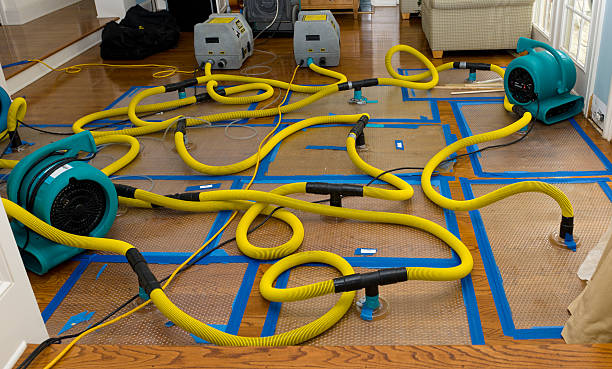 Professional Burst Pipe Water Damage technician working in Wellington, KS