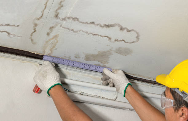 Affordable Water Damage Repair solutions in Wellington, KS